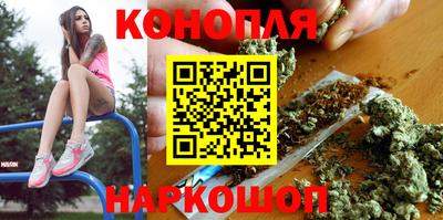 прущие грибы Камышлов