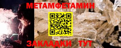 прущие грибы Камышлов
