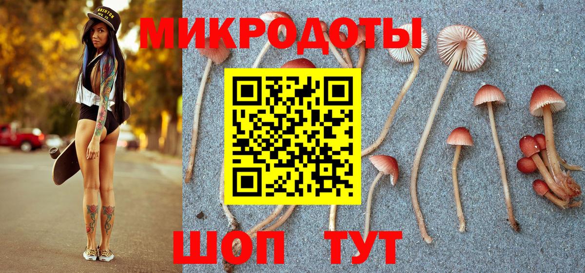 Щёлково  Галлюциногенные грибы Magic Shrooms  Вход с VPN 