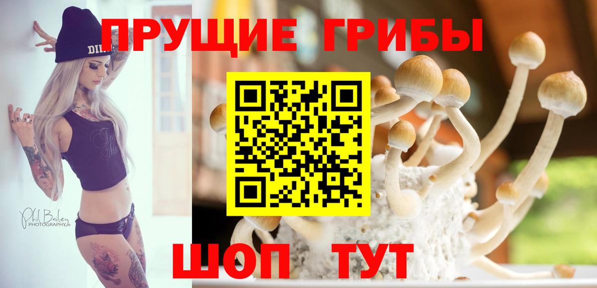 Псилоцибиновые грибы Cubensis Щёлково